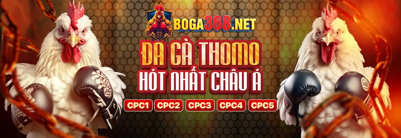 Đá gà trực tuyến tại okking79